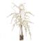 John-Richard Modern Classic Natural White Mitsumata Orchids In Cube Vase|Kathy Kuo Home