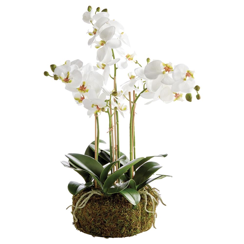 Angel French Country White Phalaenopsis Orchid Bowl Drop In