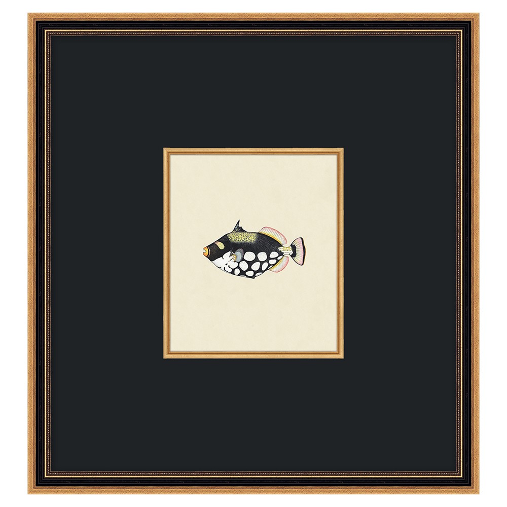 Stelle Coastal Beach Black Fish Antique Gold Frame Painting 4 - 17x16|