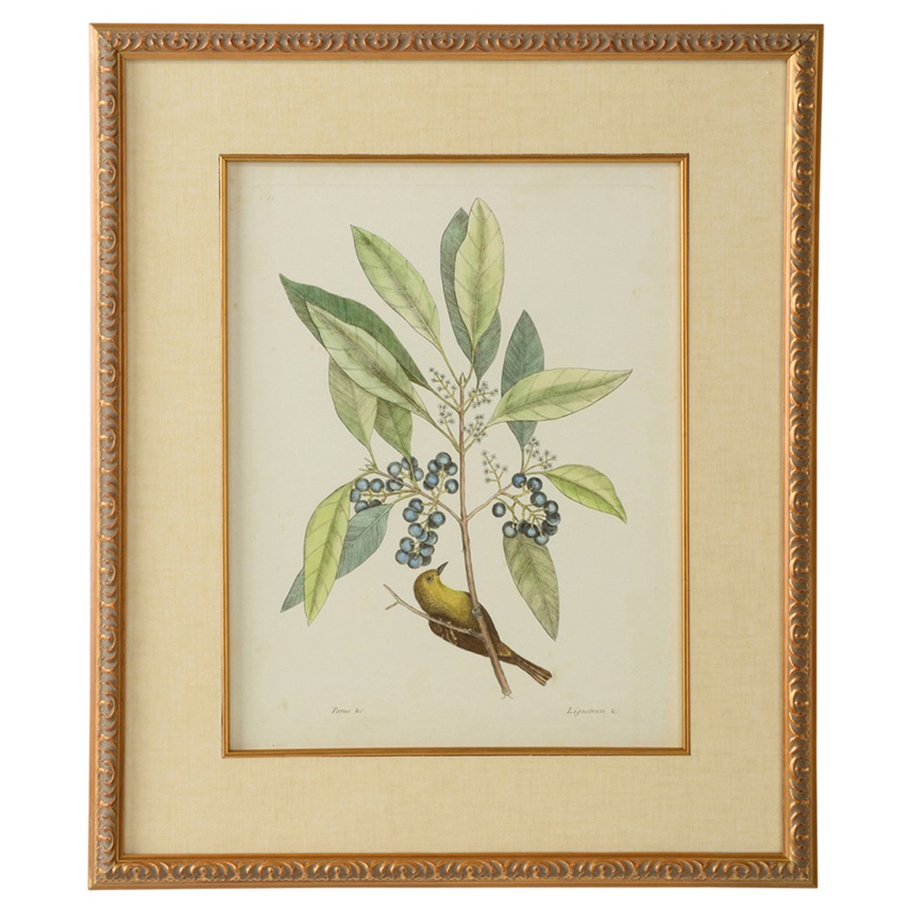 Thalina French Country Grey Chateau Black Frame Illustration - 22x26|