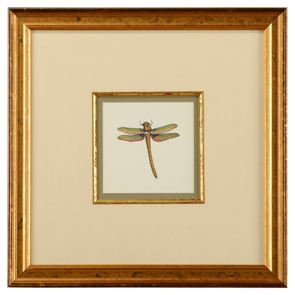Astrid Updated Traditional Green Dragonfly Gold Frame Illustration I - 19x19|