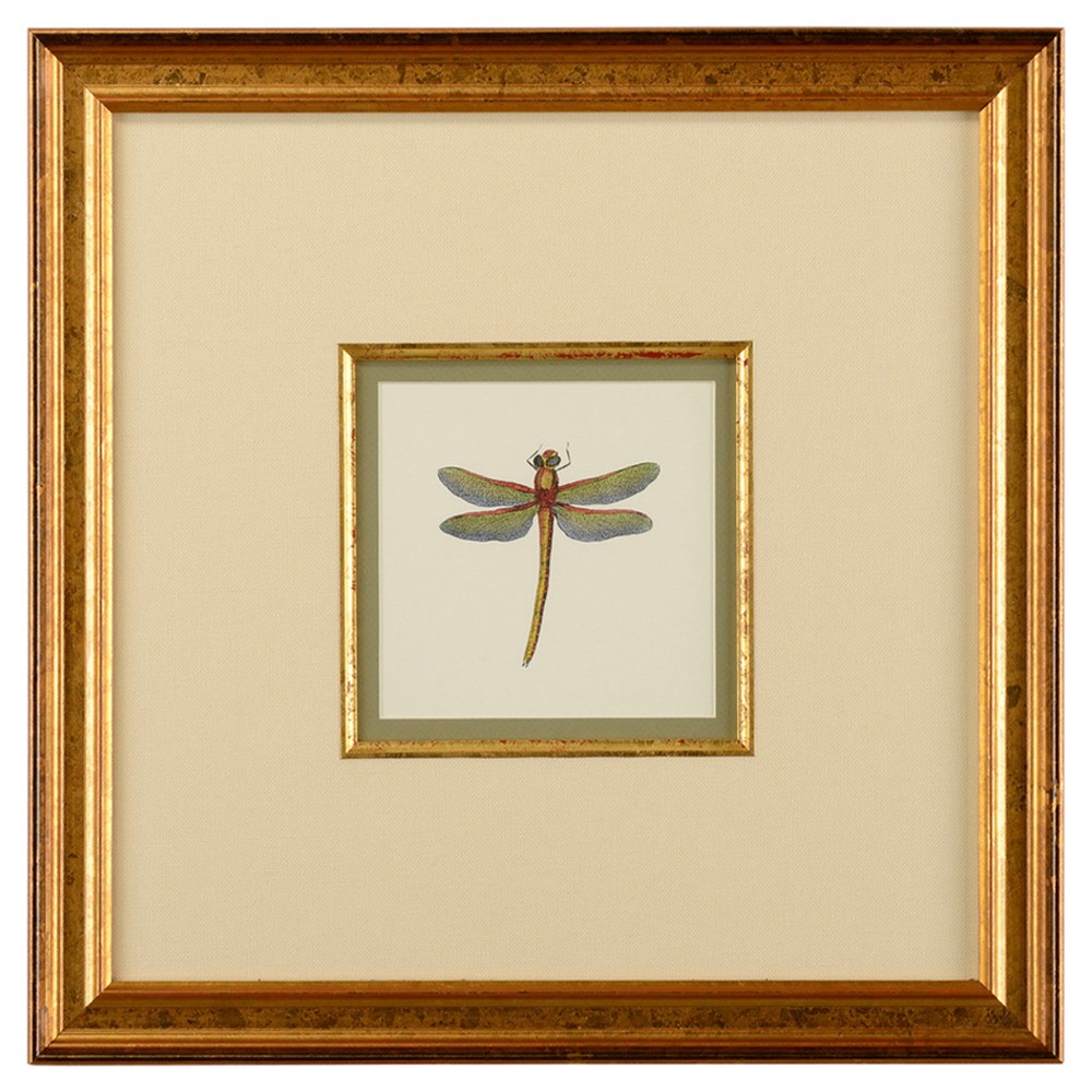 Astrid Updated Traditional Green Dragonfly Gold Frame Illustration II - 19x19|