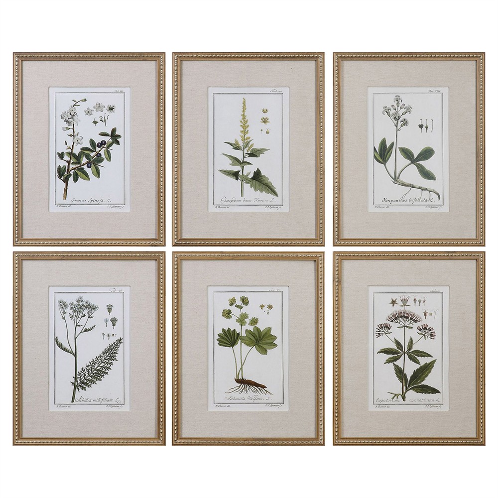 Lunara Traditional Green Botanical Gold Leaf Frame Illustration - Set of 6|