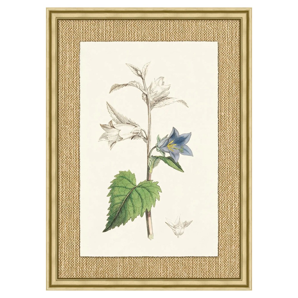 Mavis Updated Traditional Green Botanical Gold Frame Illustration 2 - 37x27|