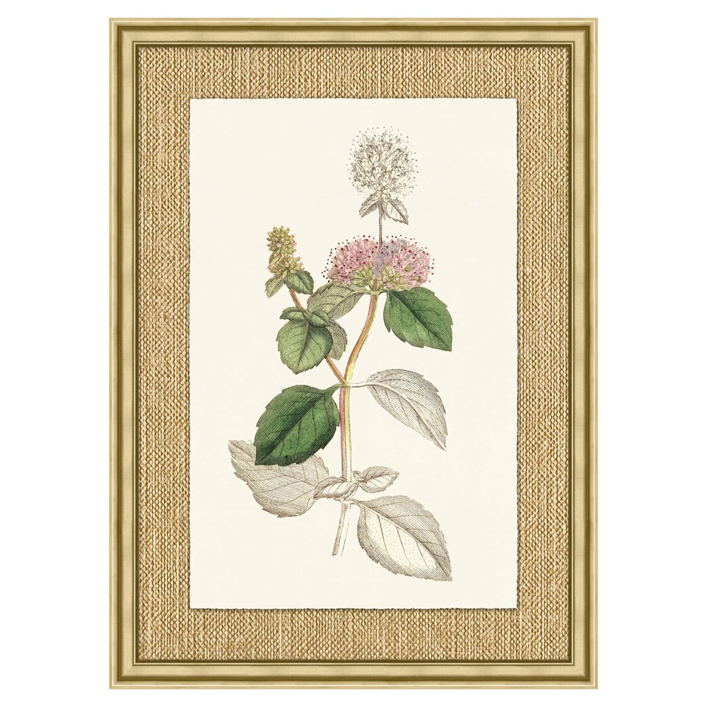 Mavis Updated Traditional Green Botanical Gold Frame Illustration 5 - 37x27|