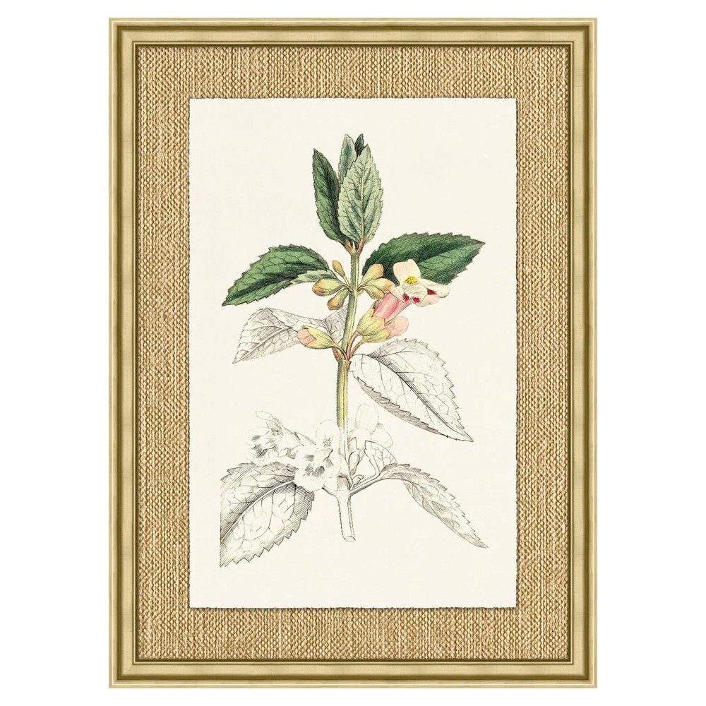 Mavis Updated Traditional Green Botanical Gold Frame Illustration 6 - 37x27|