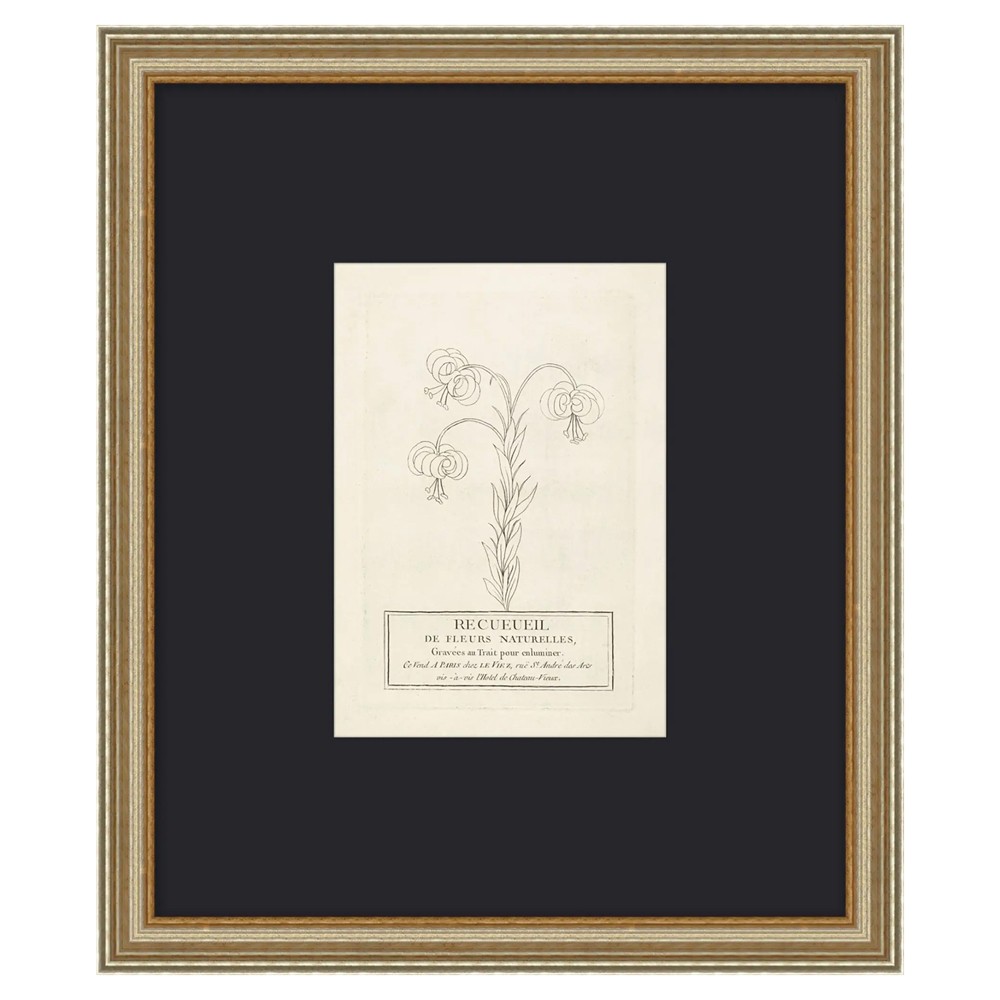Sabine French Country Black Floral Antique Silver Frame Illustration - 20x17|