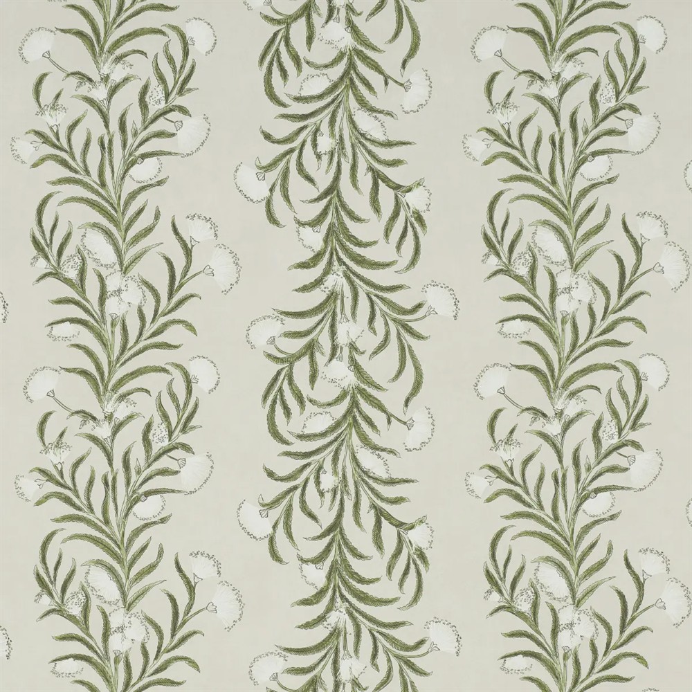 Schumacher Tasmanian Mimosa Ivory Botanical Wallpaper by the Yard