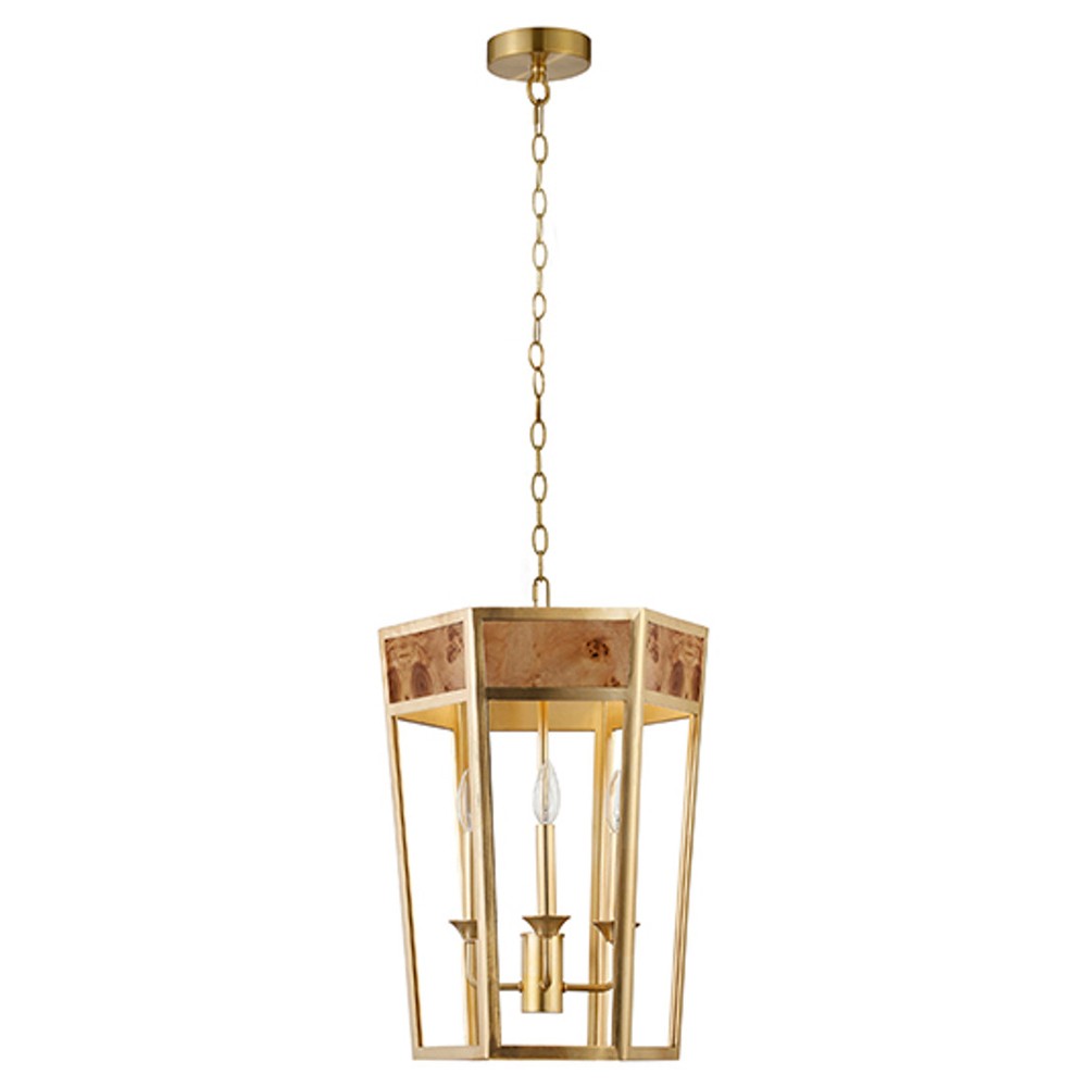 Worlds Away Ren Modern Burl Wood Gold Metal Hexagon Pendant|