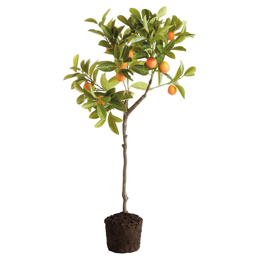 Ameer French Country Orange Kumquat Drop In Tree - 33"|