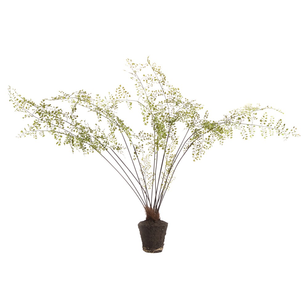Calum Traditional Green Maidenhair Drop In Faux Floral - 44"|