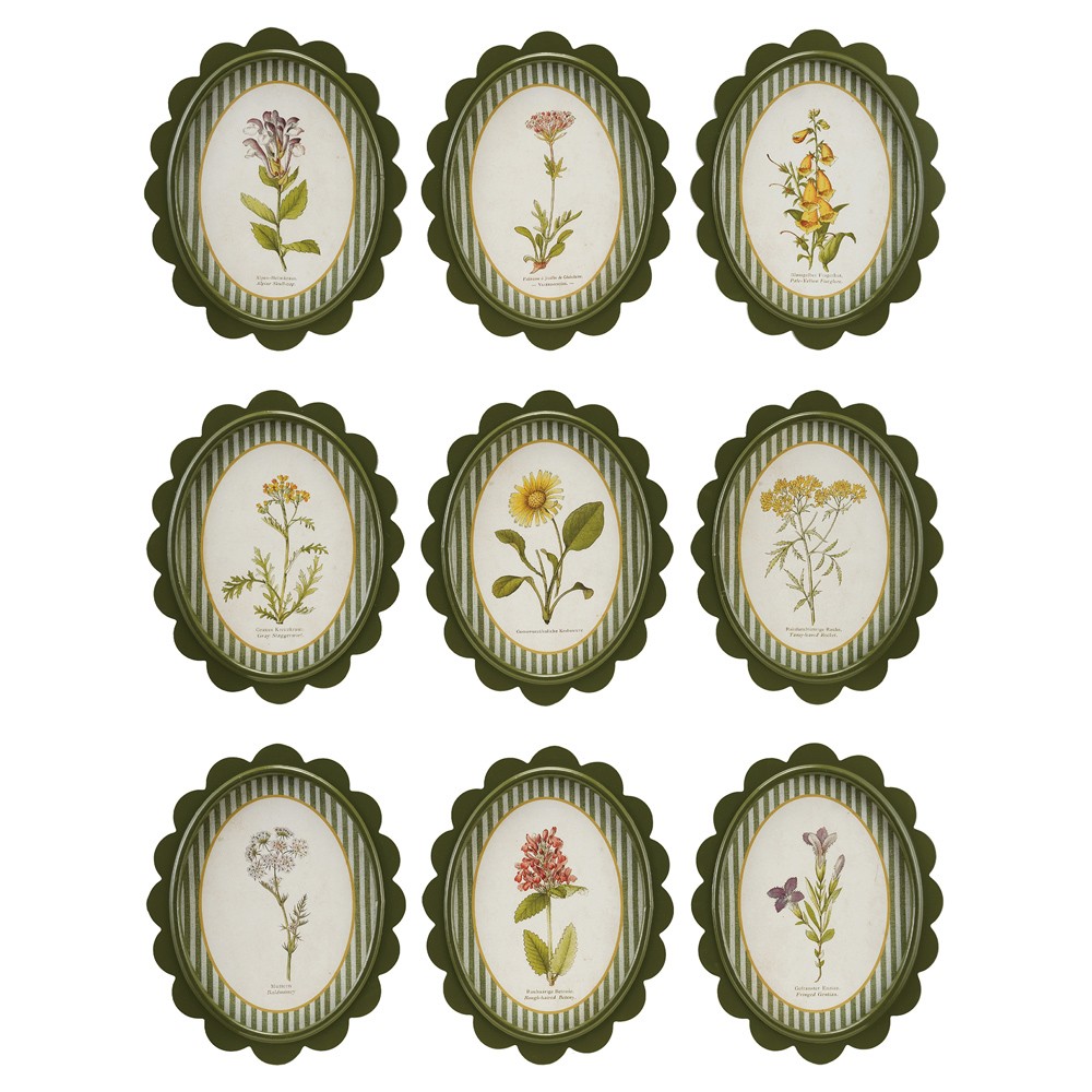 Linara Updated Traditional Yellow Floral Green Frame Illustration - Set of 9|
