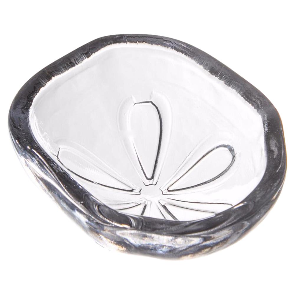 Simon Pearce Coastal Sand Dollar Glass Bowl|