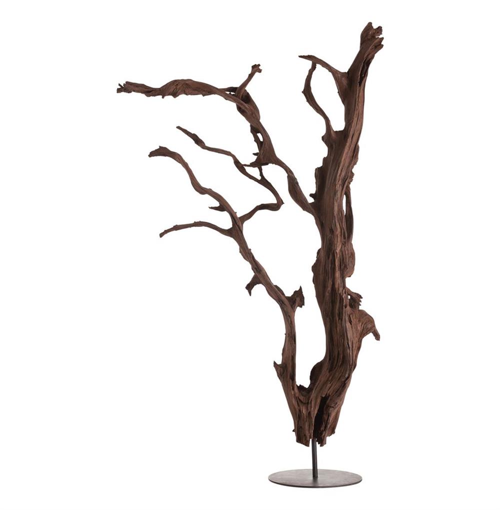 Kazu Root Mangrove Tree Iron Floor Sculpture|