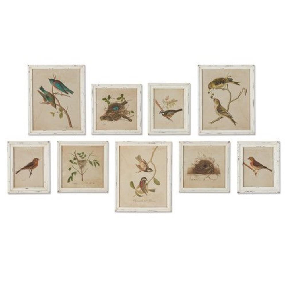 Cielo Bird and Nest Animals & Nature White Frame Illustration - Set of 9|