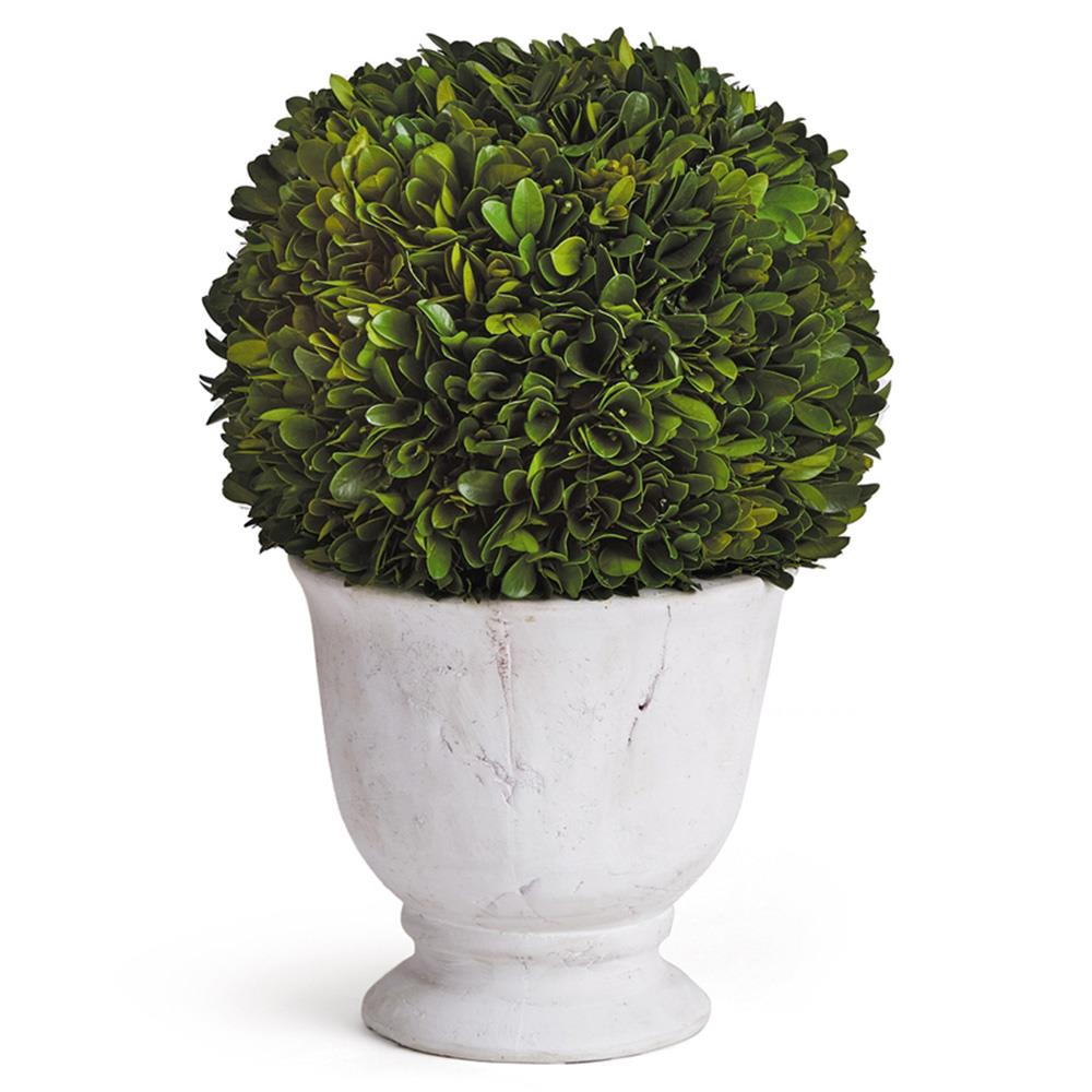 Landon French Country Green Boxwood Ball Potted Topiary - Large|