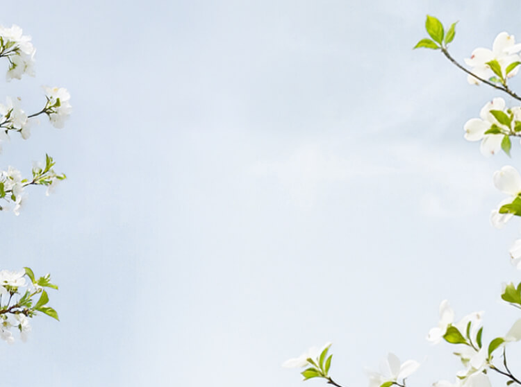 Spring Summer Quote Background