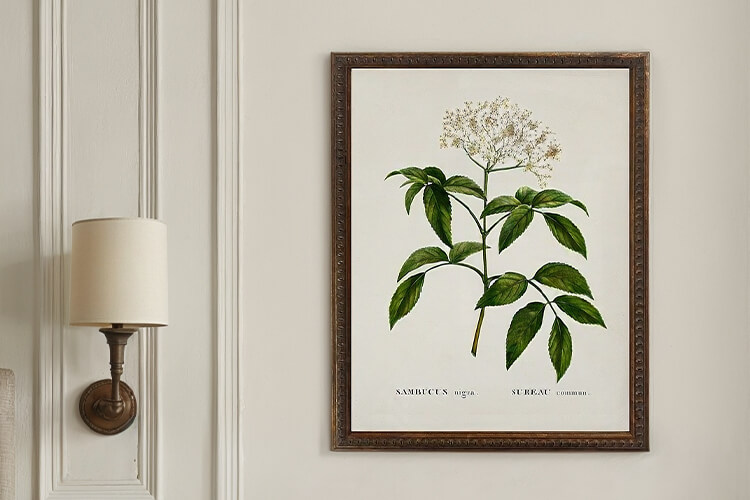 Floral & Botanical Wall Art | Kathy Kuo Home